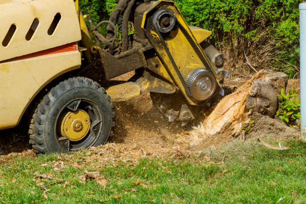  Asotin, WA Tree Services Pros